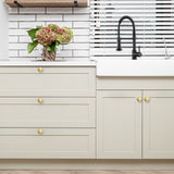 Ravinte Square Single Hole Gold Kitchen Cabinet Knobs Dresser Drawer Cabinet Pulls Drawer Knobs Cabinet Hardware Contemporary Antique Rustic Knobs with Screwdriver