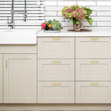 Ravinte Kitchen Square Cabinet Handles Cabinet Pulls Drawer Pulls Kitchen Cabinet Hardware Kitchen Handles